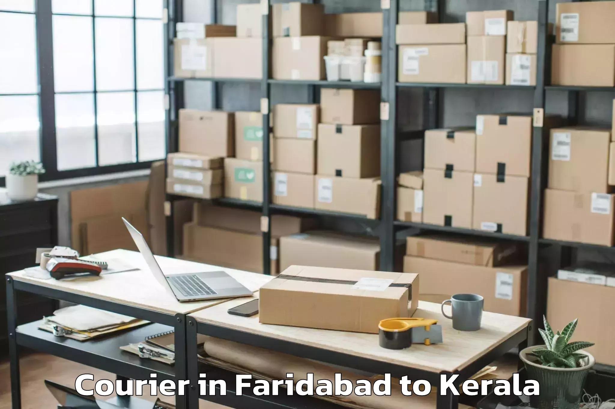 Get Faridabad to Pathanamthitta Courier